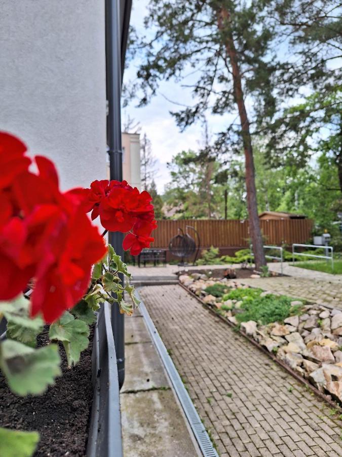 Bed and Breakfast Diana Panzio Матрафюред Экстерьер фото